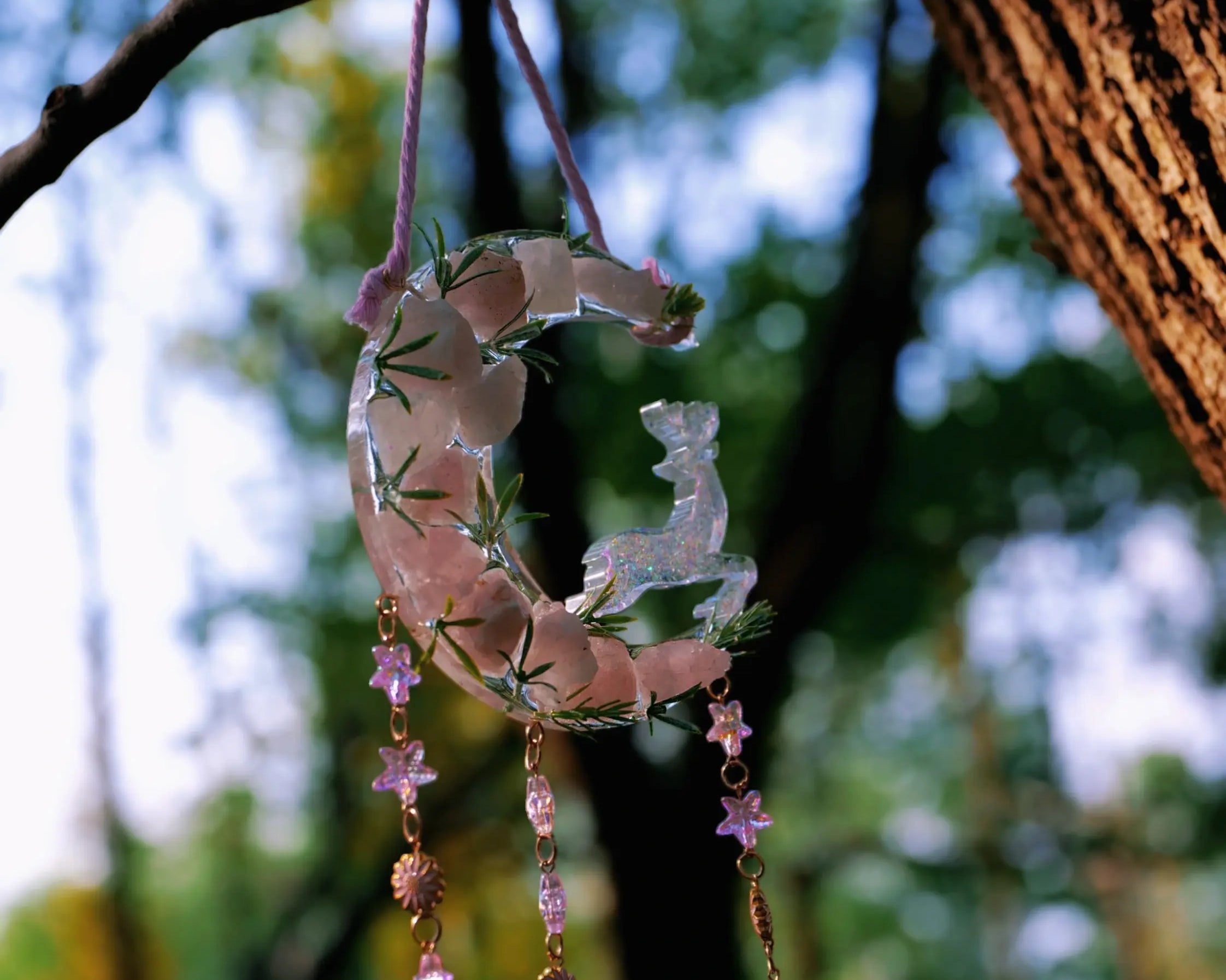 Suncatcher: Let the Sunlight Speak to You