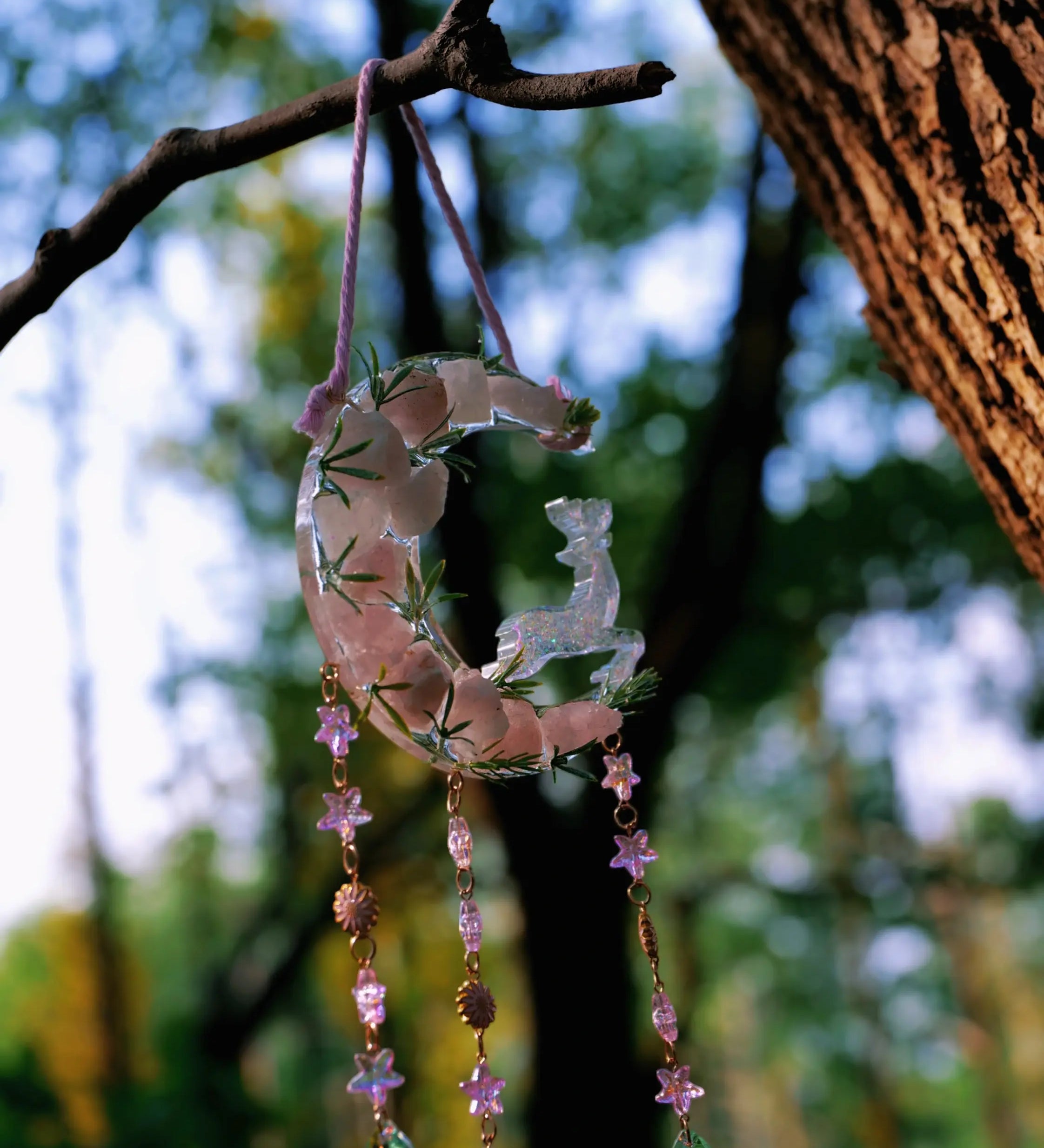 Suncatcher: Let the Sunlight Speak to You