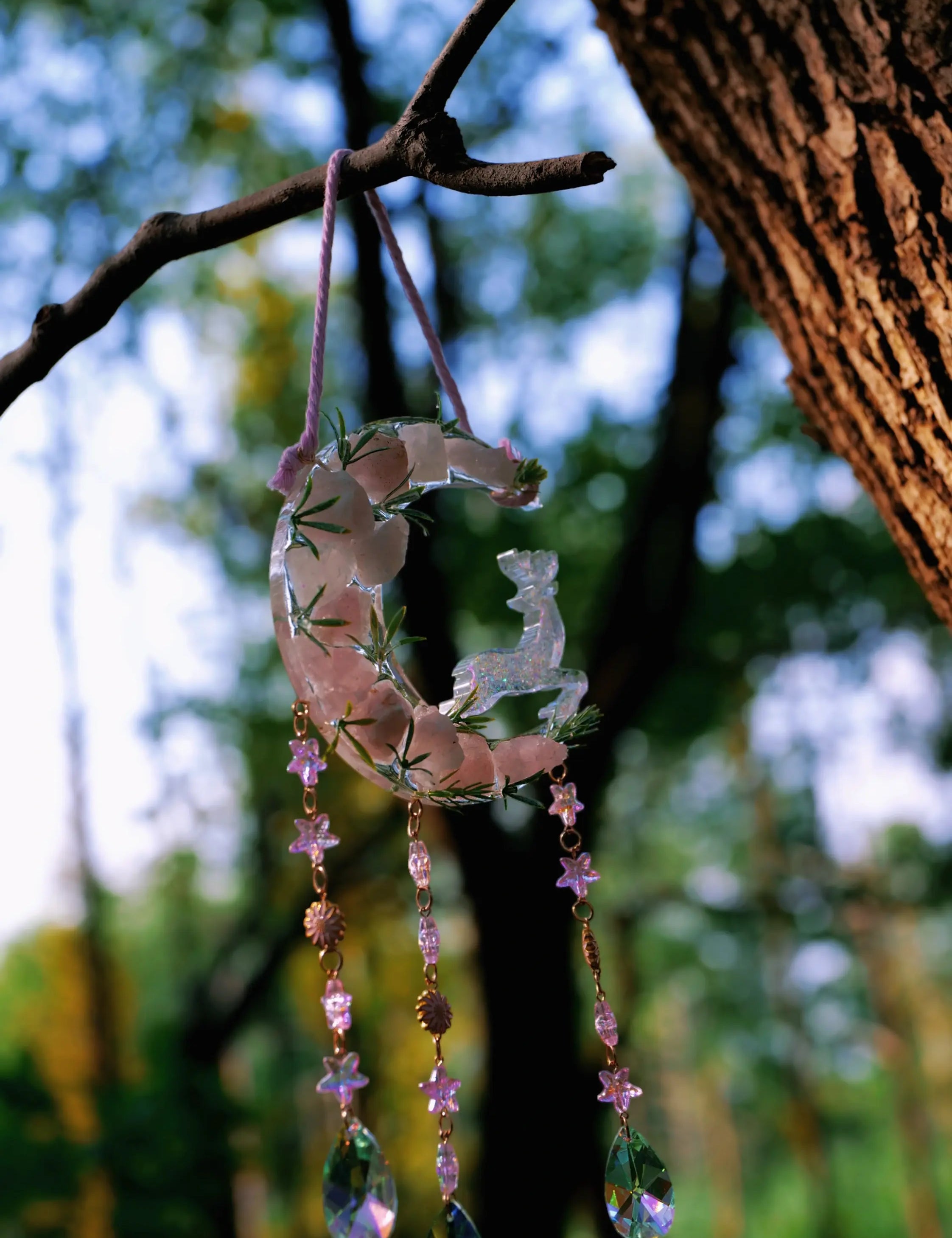 Suncatcher: Let the Sunlight Speak to You