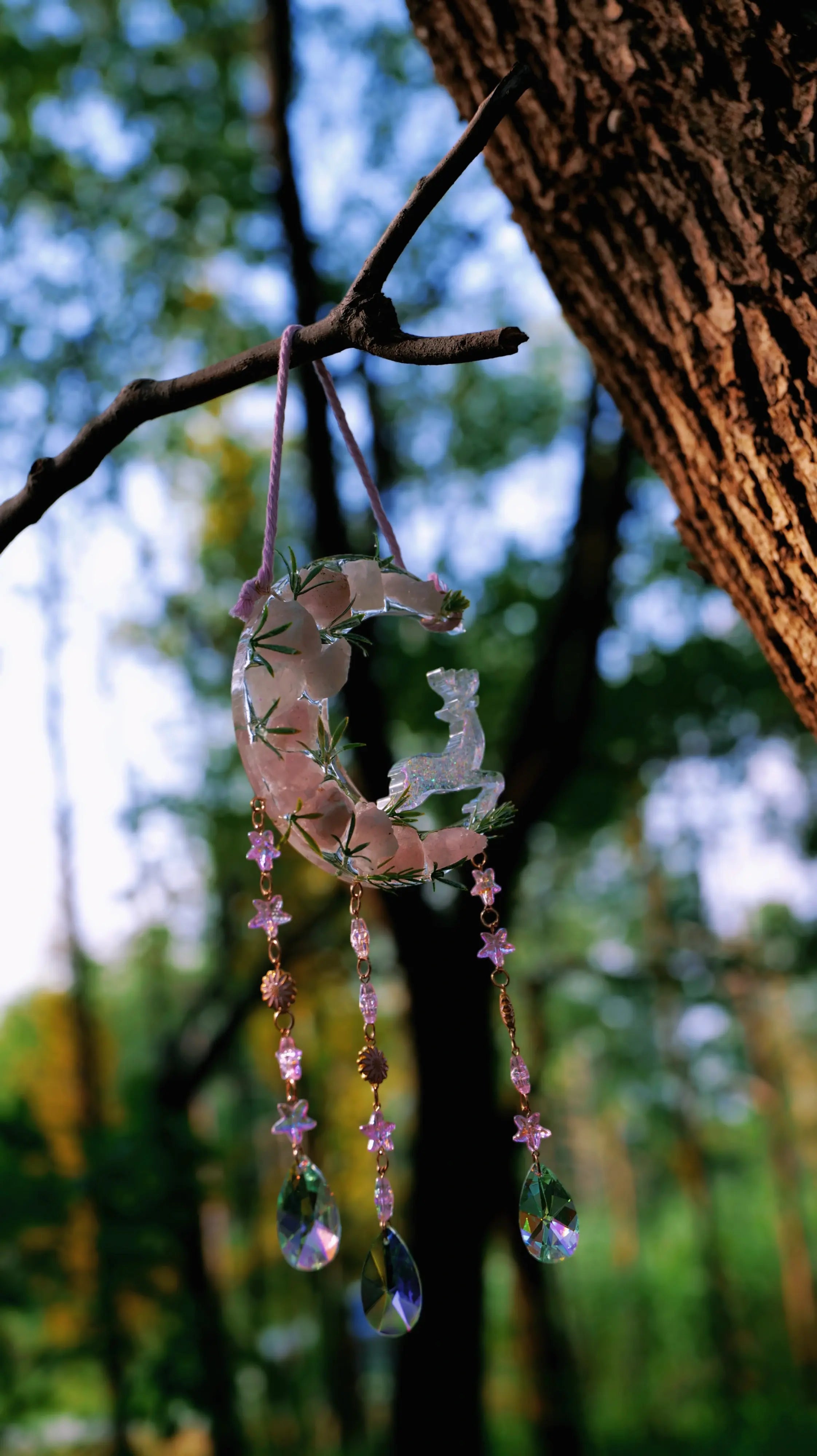 Suncatcher: Let the Sunlight Speak to You